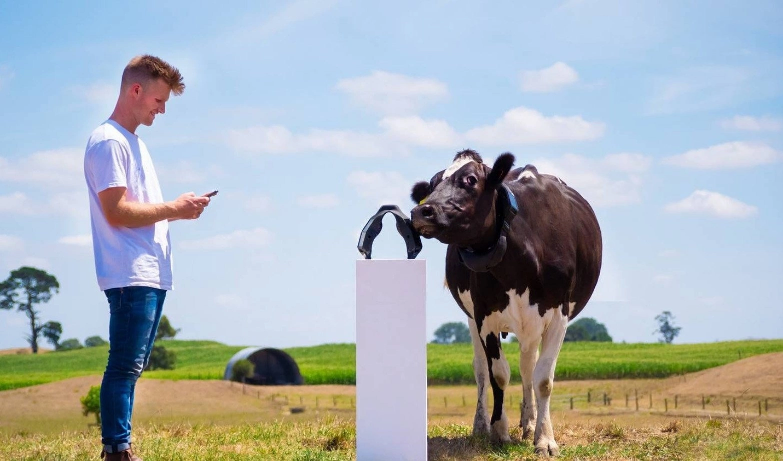Sở hữu công ty tỷ USD nhờ làm ứng dụng chăn bò