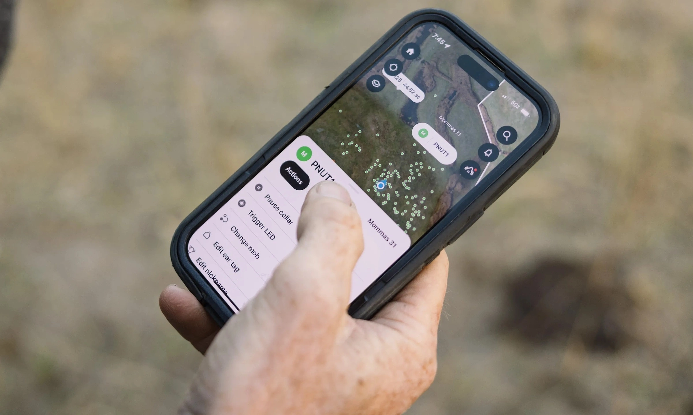 Ứng dụng chăn bò thịt của Halter