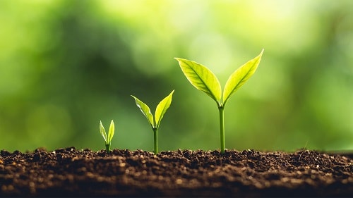 Theo dòng sự kiện