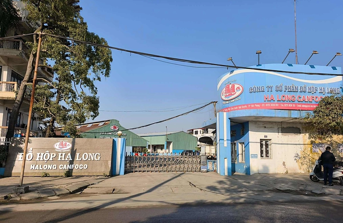 Tổng giám đốc Công ty Đồ hộp Hạ Long bị khởi tố