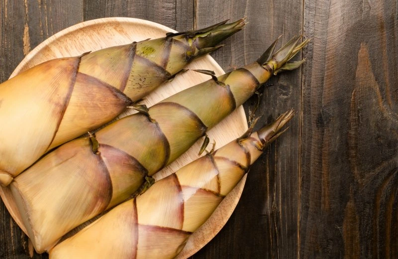 Măng tươi rất bổ dưỡng nhưng vì sao không nên ăn nhiều?