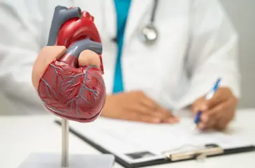 Vì sao tim hiếm khi bị ung thư